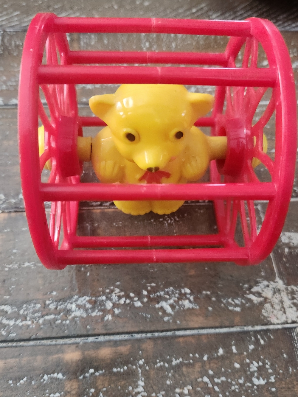 Vintage 1950's Rolling Children's Toy Bear in Wheel Plastic Mid-Century. 3.5x4"